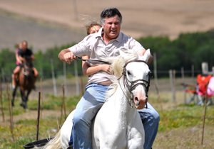 Perde Boeresport in Baardskeerdersbos